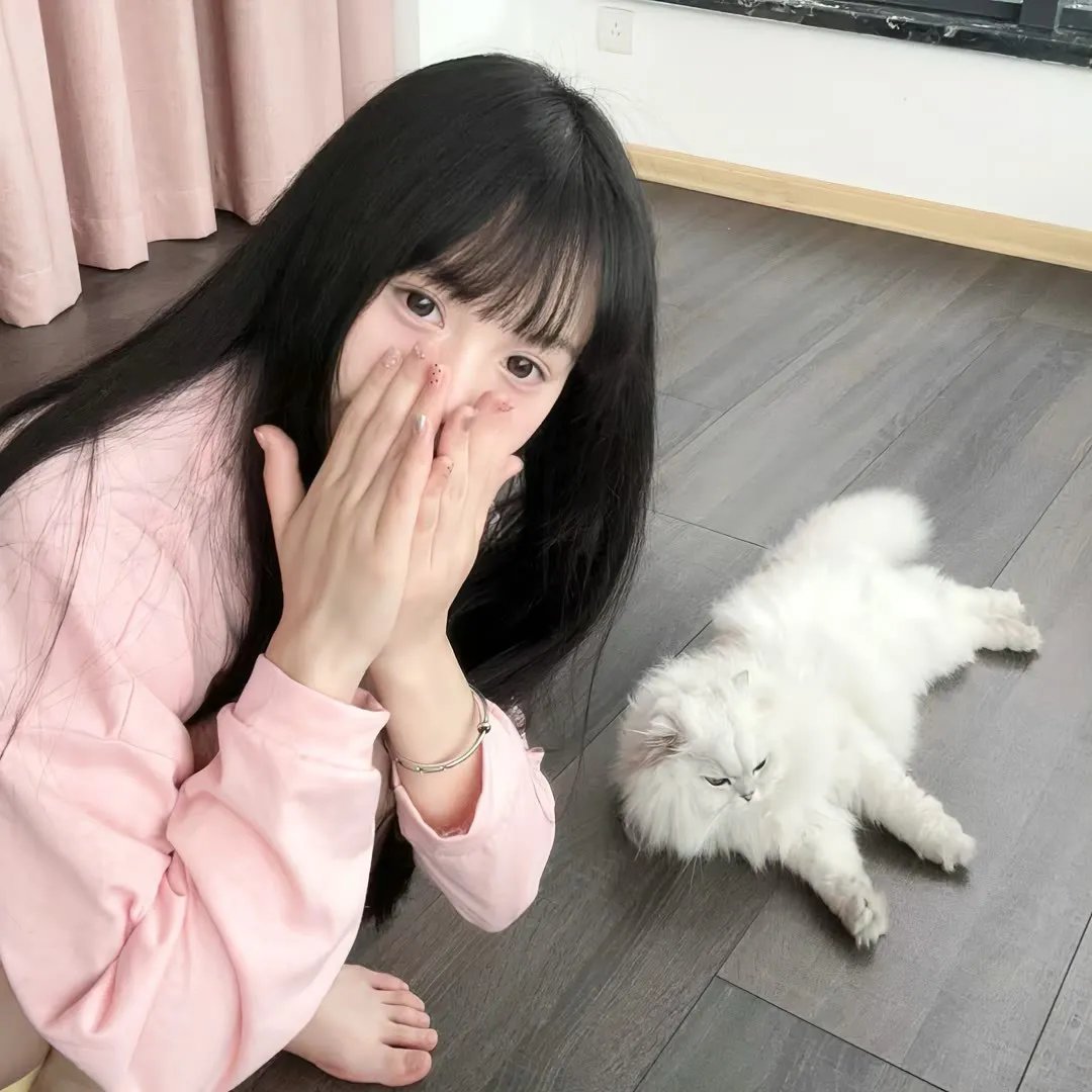 惊笑好莱坞